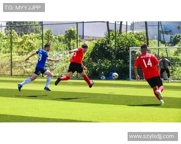 河静红林与广宁的精彩对决揭示了足球的魅力与团队精神的较量