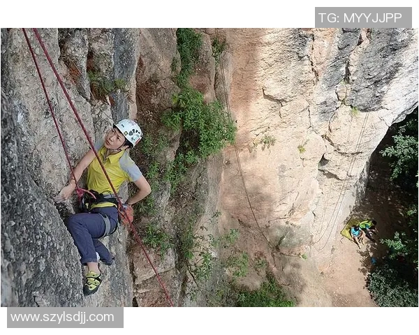 成都攀岩队的盯防策略分析与攀岩表现的关系探讨MBA