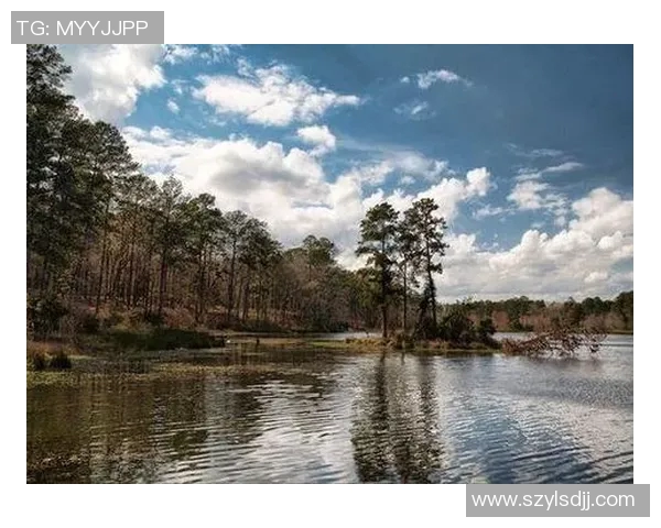 哥伦比亚与荷兰历史交锋战绩分析及未来展望