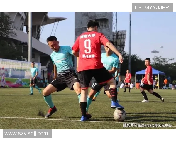 杭州羽毛球队区域防守创新探索与实践分析MBA