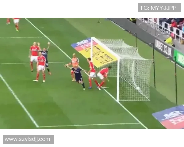 谢菲联与博尔顿的精彩对决比分揭晓，赛季走势分析与球员表现回顾