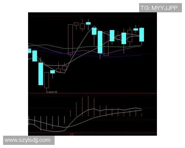 南京网球队防守策略深度分析与战术解读