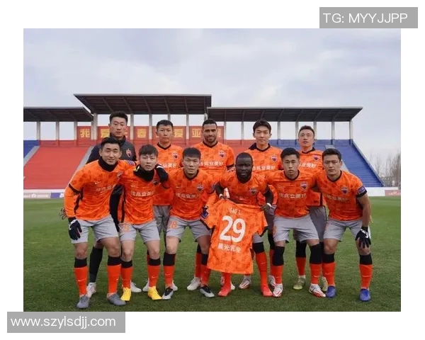 深圳足球队实力解析与未来发展展望