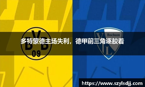 完美体育在线入口官网
