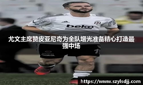 完美体育在线入口官网