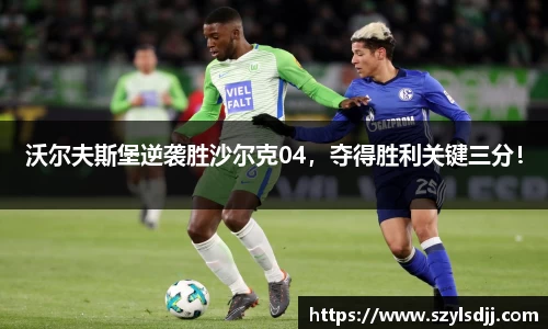 完美体育app下载安装
