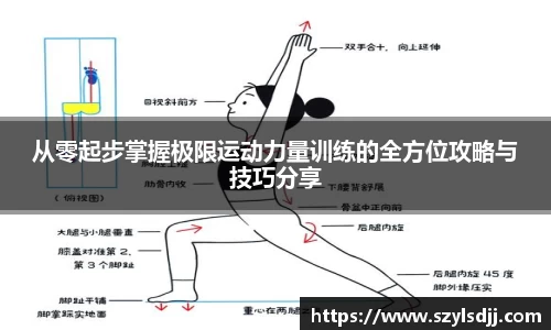 完美体育