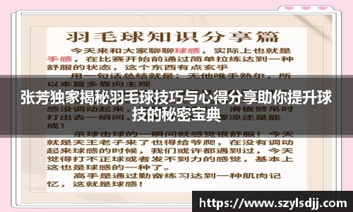 完美体育app下载安装