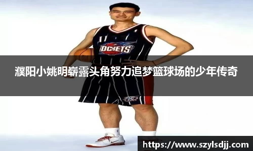完美体育在线入口官网