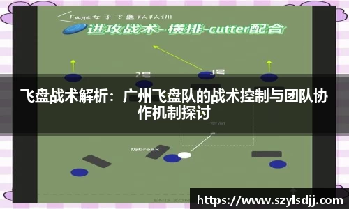 飞盘战术解析：广州飞盘队的战术控制与团队协作机制探讨