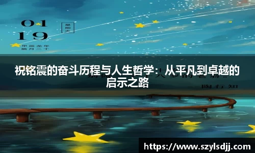 完美体育