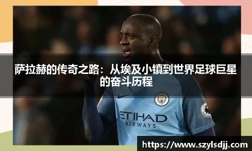 完美体育在线入口官网