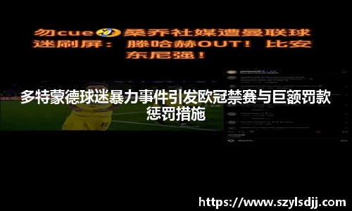 多特蒙德球迷暴力事件引发欧冠禁赛与巨额罚款惩罚措施