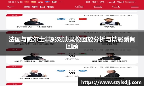 法国与威尔士精彩对决录像回放分析与精彩瞬间回顾