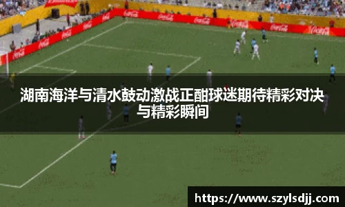 湖南海洋与清水鼓动激战正酣球迷期待精彩对决与精彩瞬间