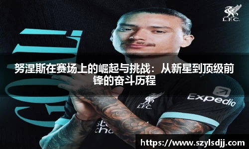 努涅斯在赛场上的崛起与挑战：从新星到顶级前锋的奋斗历程
